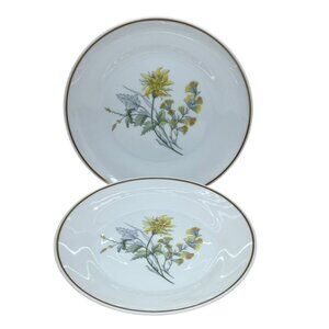 2 Richard Ginori Primavera Yellow Floral Salad Plates Italy 8"